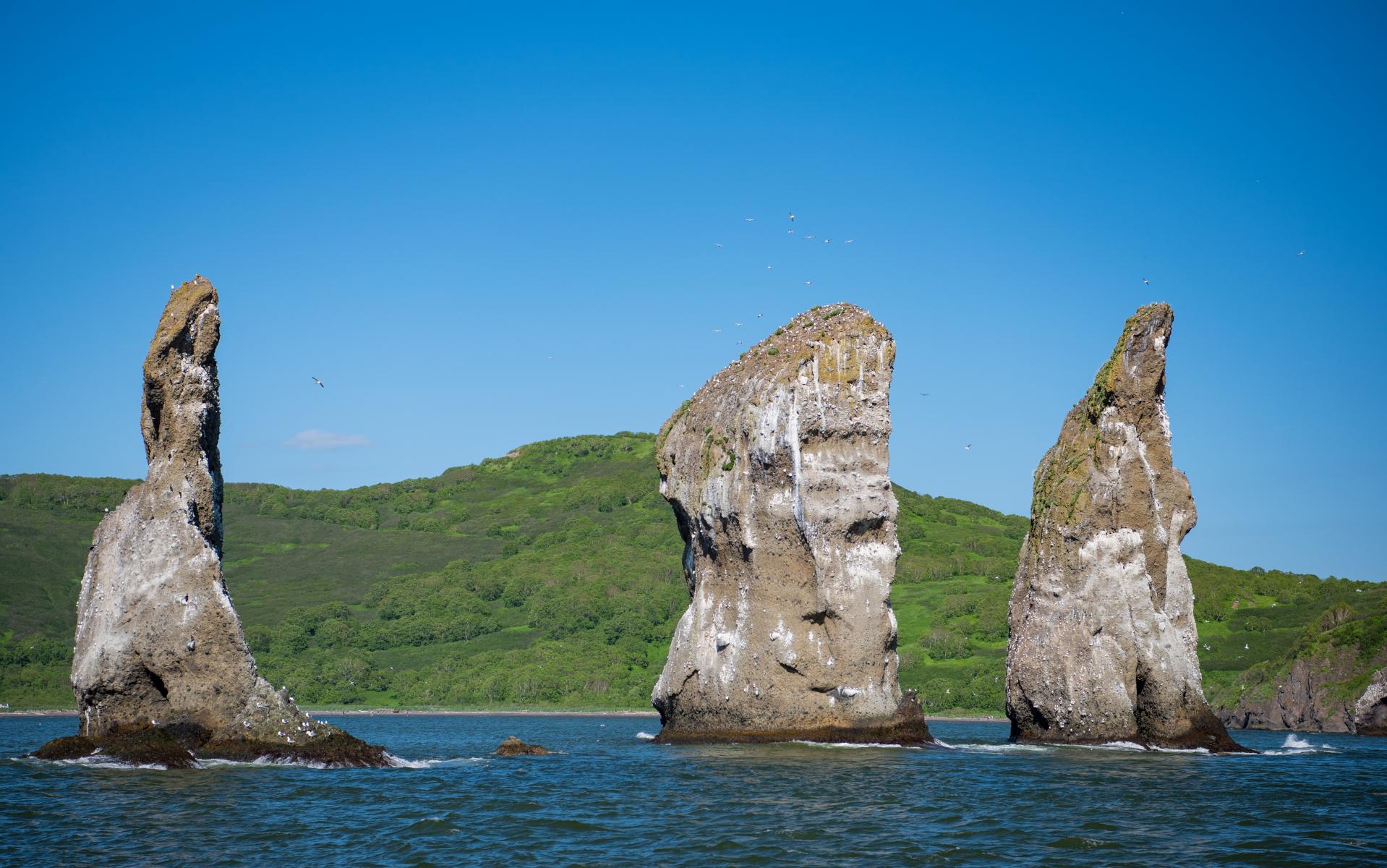 3 брата