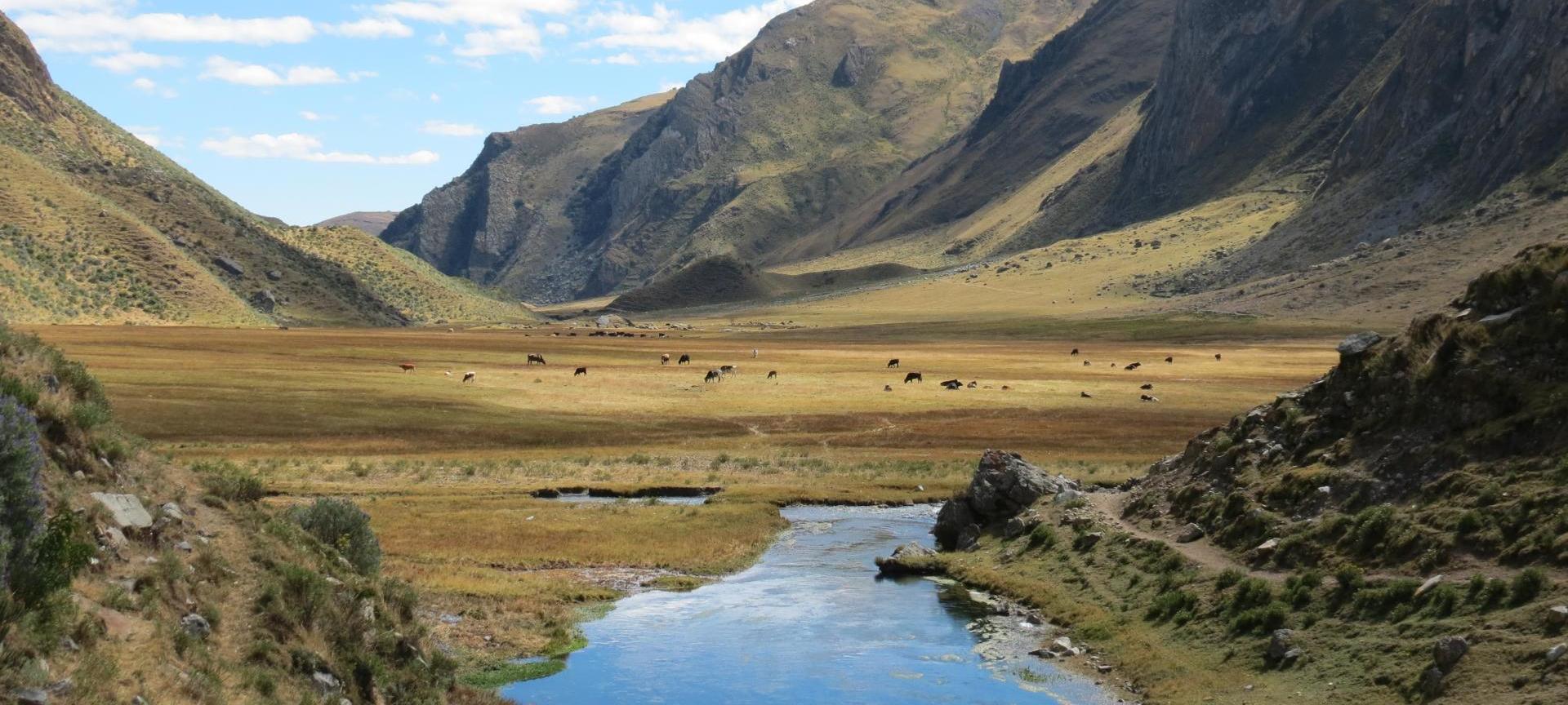 Уайуаш
